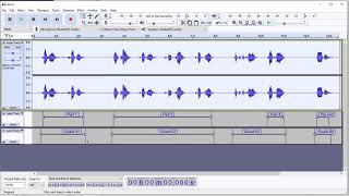 Celebrity Audacity labels for narration Profile