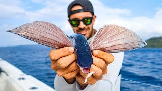 Fish that FLY! Flying Fish Catch, Clean and Cook!