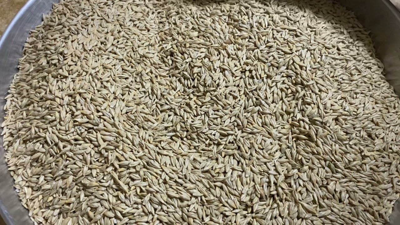 የበሶ ዱቄት አዘጋጀት | Beso Ethiopian flour|