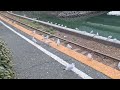 もうすぐ暫しのお別れ👋 浜名湖のゆりカモメという名前の天使たち