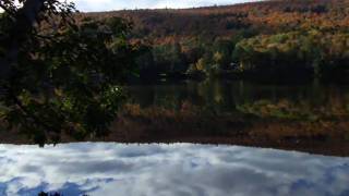 Bridge... with Love_0002.wmv