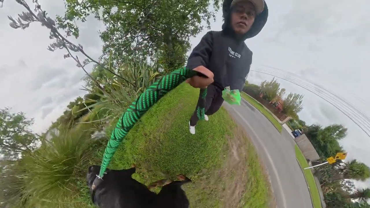 afternoon walking with max 😎