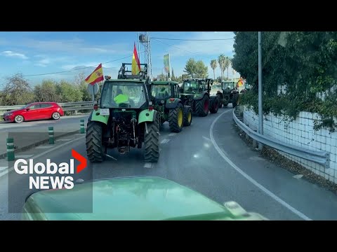 “Prices are choking us”: Farmers protest in Spain, Bulgaria against EU agricultural policy
