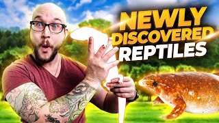 These Reptiles Were Just Discovered This Year and YOU Have Never Heard Of Them!