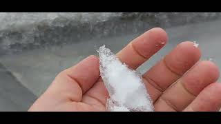 Freezing Rain Storm Aftermath Vancouver, British Columbia, Canada