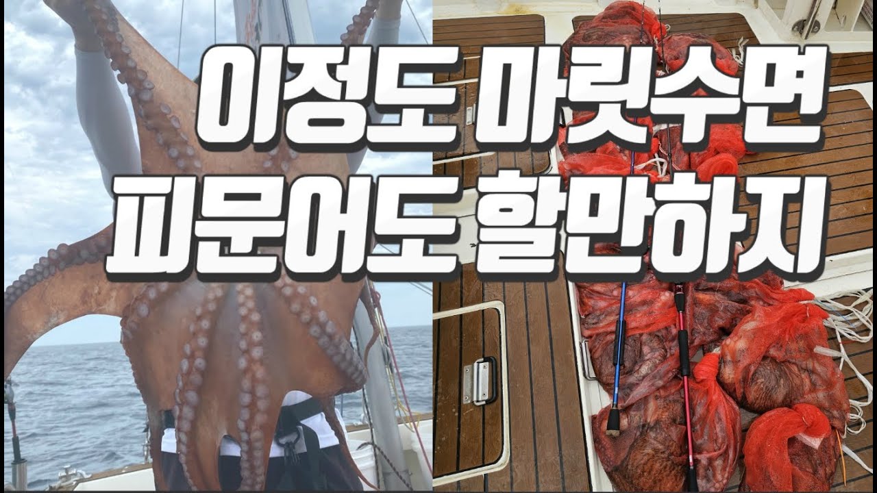 누나가 빠트린 문어를 제가 잡았네요 [제가 그럴려고 그런건 아니었는데]