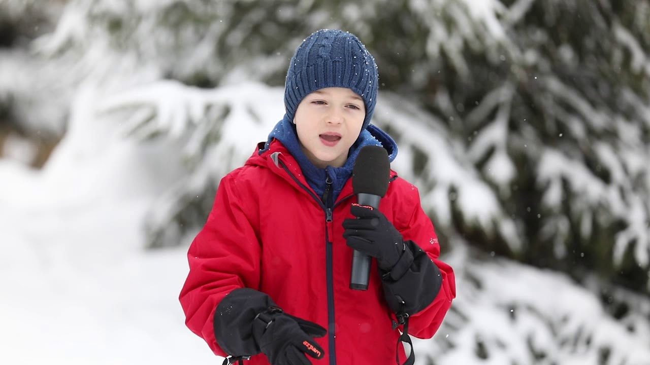 Darius Paunescu - Meteo din Tabara TV Dictie.ro