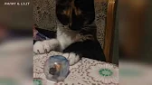 ЛИЛИТ & LILIT
