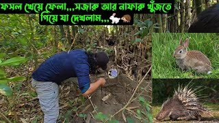 Download Lagu ফসল খেয়ে ফেলা,,,সজারু আর নাফারু খুঁজতে গিয়ে যা দেখলাম,,,🐇🦔 MP3