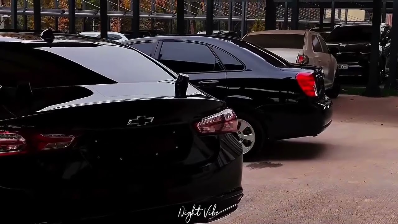 📹 hatikoali - GO & nightvibe x JENTRA          