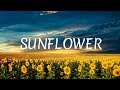 Musique tous ensemble piano  jeanphilippe ichard  sunflower