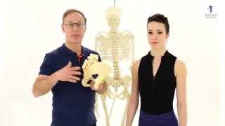 Creating a Healthier Sacroiliac Joint Using Movement, Touch & Imagery