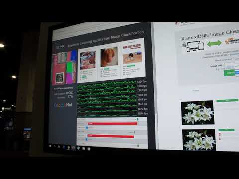 Multi-instance GoogleNet and DeepDetect running on Amazon EC2 F1