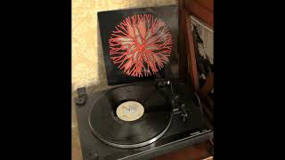 Wipers - The Circle 1988 Full Album Vinyl