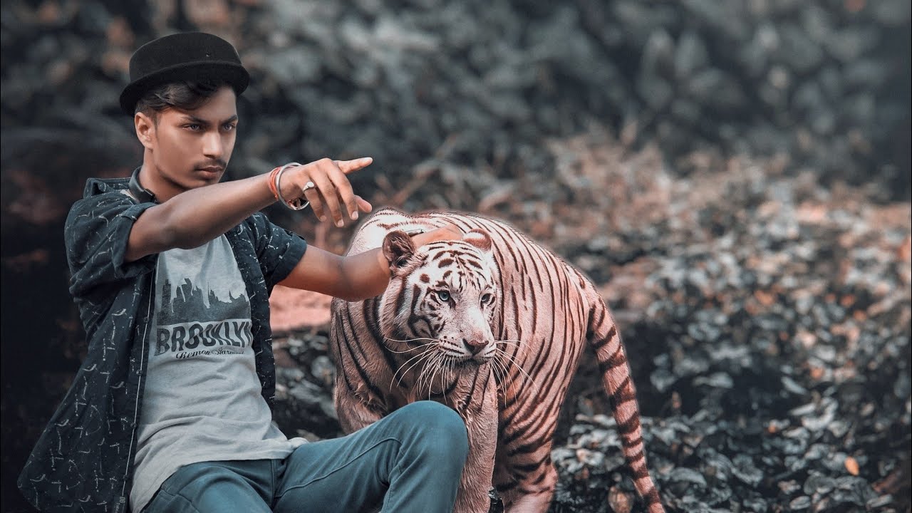 Tiger Photo Editing in picsart 