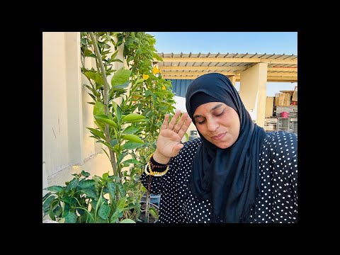 ان سالوك عن السعاده فقول فاز بها اهل الرضا