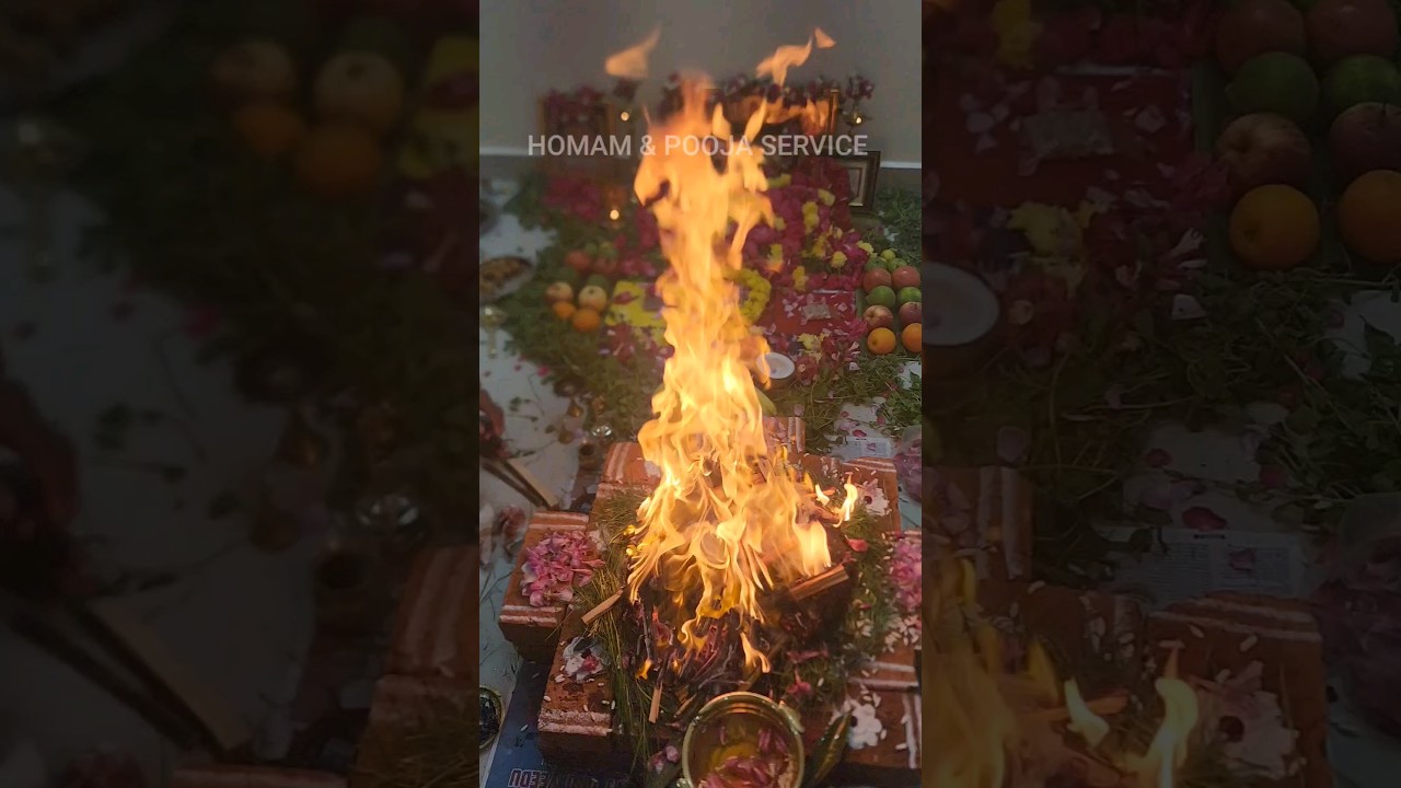 homam benefits in tamil 🔥 ஹோமம் பலன்கள் 🛕 homam & Pooja service 🔥 importance of homam | shorts