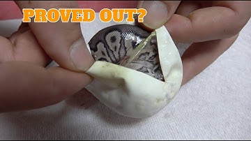 Trying To Prove Out Some Ball Pythons Egg Cutting!