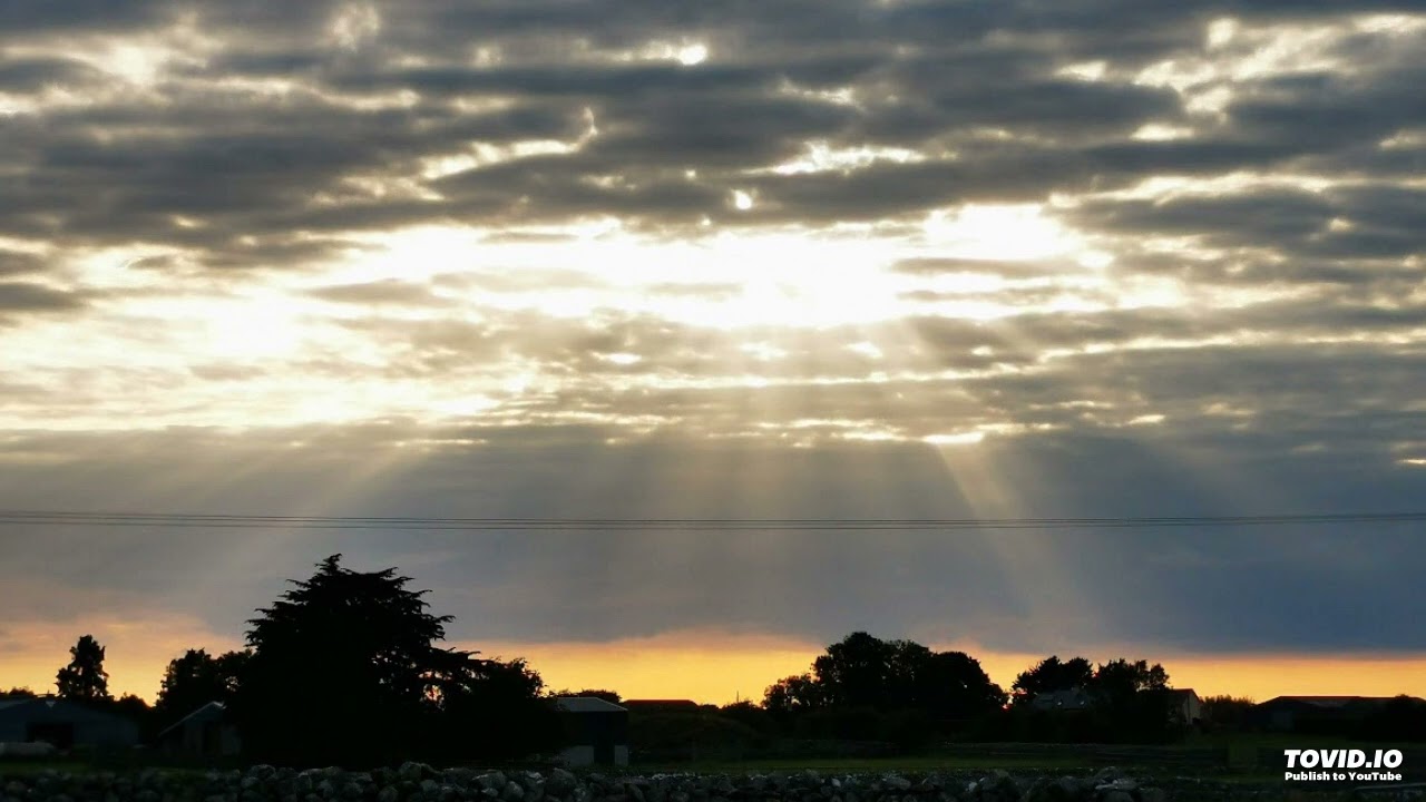 VIBES X  night sessions  DJSERGE