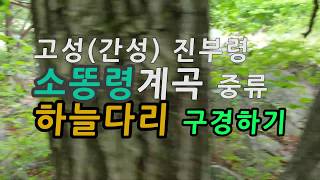 고성(간성) 소똥령계곡 하늘다리 구경하기