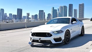No Talking. Just A Loud Mustang Gt Terrorizing Miami Coyote V8 Asmr