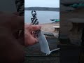 what I carried this week Blade's &amp; gear 3/20/26