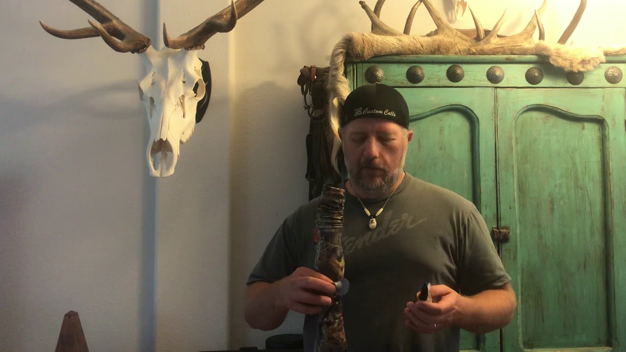 Combining Elk Calls