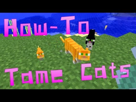 Mo Creatures How To Breed Big Cats Mo Creatures How To Breed Big Cats