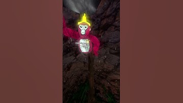 Falling Through The Floor Trend But BETTER… #gorillatag 