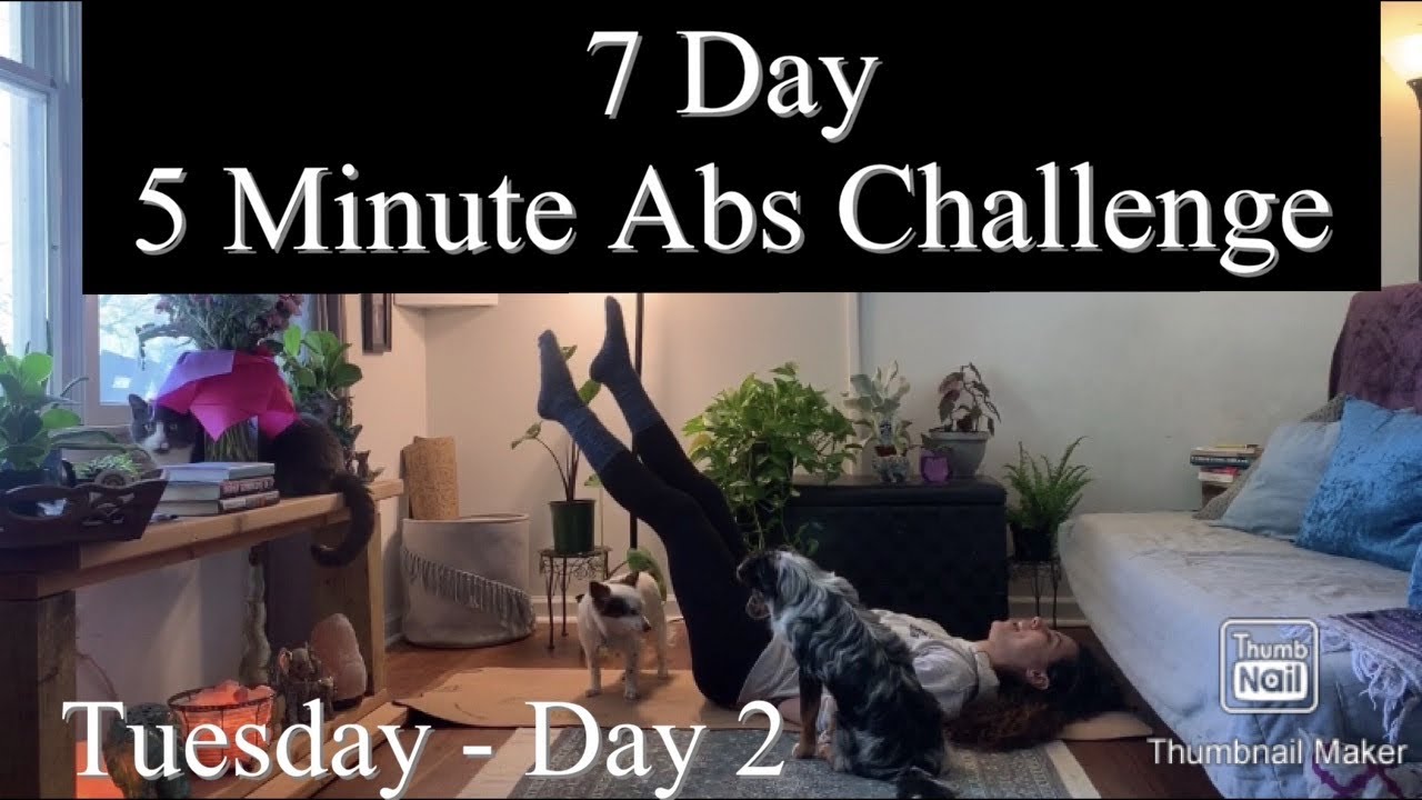 5 Minute Abs Challenge - Day 2 - YouTube