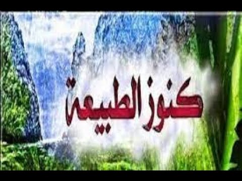 تردد قناة كنوز الطبيعة    الفضائية على النايل سات 2022