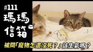 被問「寵物怎還沒死」該生氣嗎| 瑪瑪信箱《第111集》