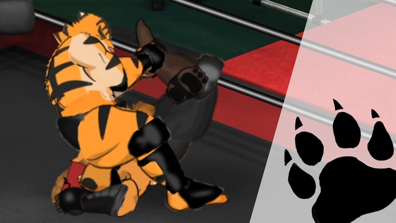 [New Year's Eve Match] Tiger vs Ninja Fox