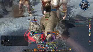 Giants Wing - Helegrod - Solo Guardian LVL 60 - Anor - LOTRO