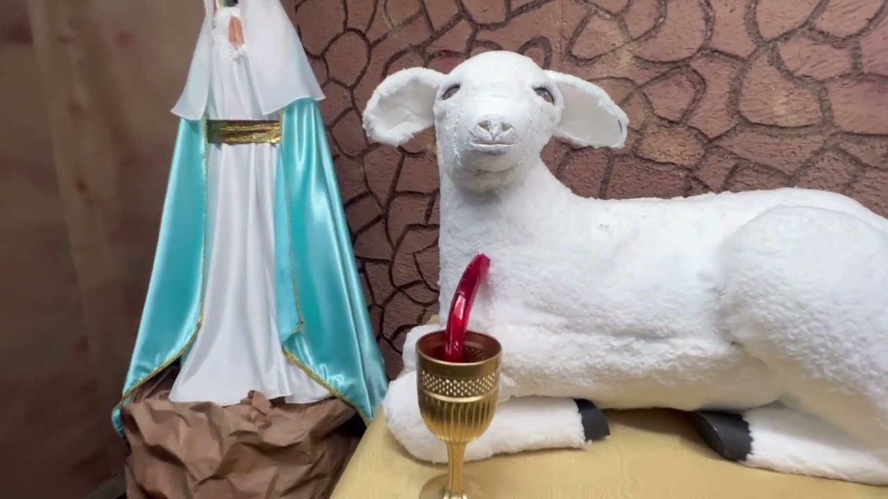 Eucharistic Miracle Experience Meditation