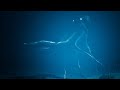 THALASSOPHOBIA JANGAN NEKAT NONTON INI KAMU TIDAK AKAN SIAP.... The Megalodon