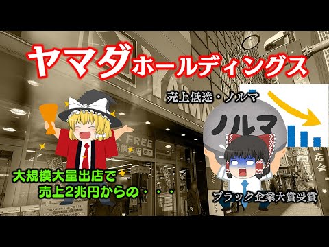 家電量販店の帝王が伸びなくなった理由～ヤマダホールディングス～