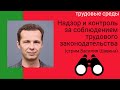 Надзор и контроль за соблюдением трудового законодательства. Видео-лекция