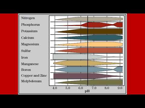فيديو: ما الذي يحدد خصوبة التربة