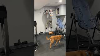 The AmazingTodd - 1.3.2023.