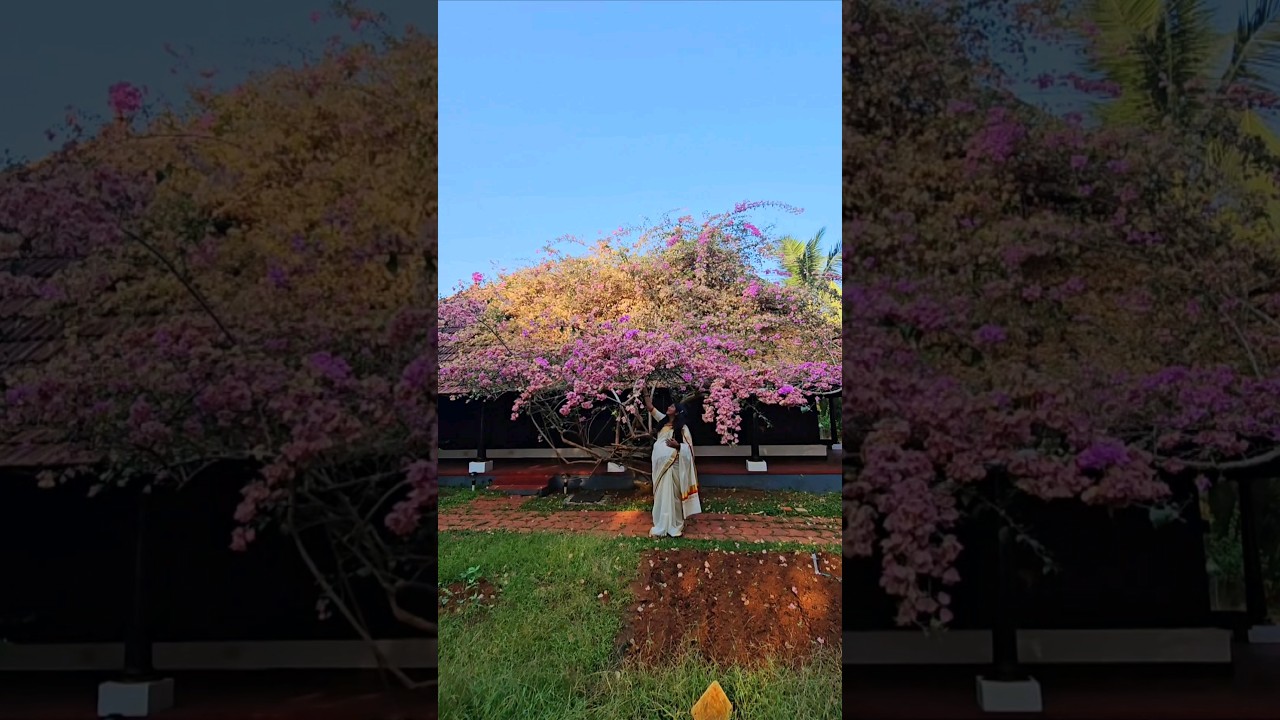 Capturing the magic of motherhood🥰❤️ 