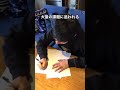 日本の学校とインターナショナルスクール 【長期休みの違い】#Shorts