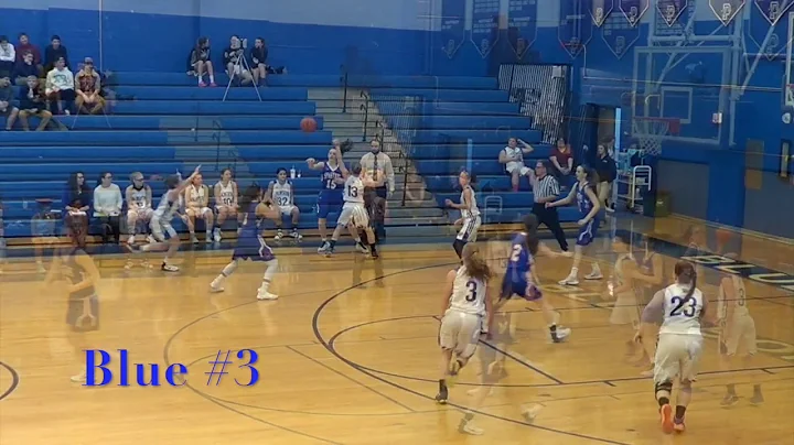 Amanda Mobley 2016-17 season highlights