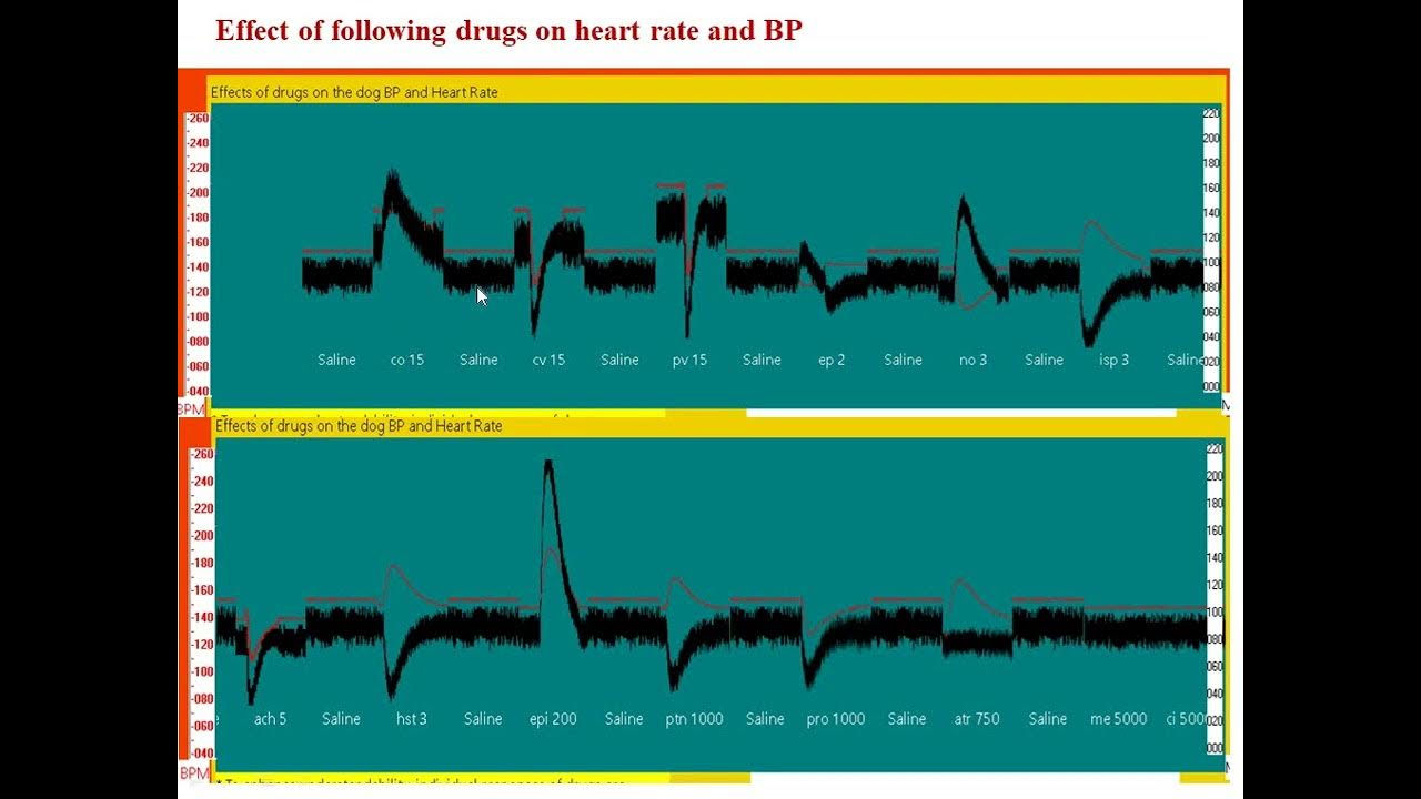 effect-of-drugs-on-heart-rate-and-bp-reversal-action-of-adrenaline