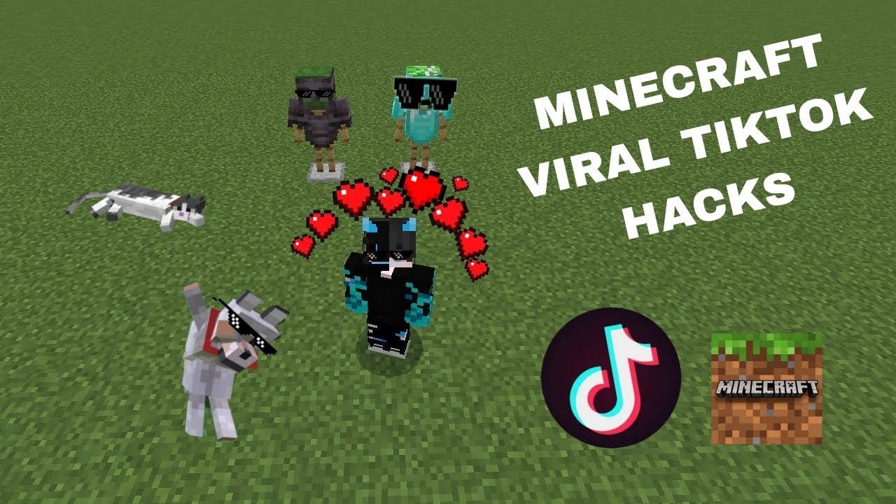 MINECRAFT VIRAL TIKTOK HACKS #1 - YouTube