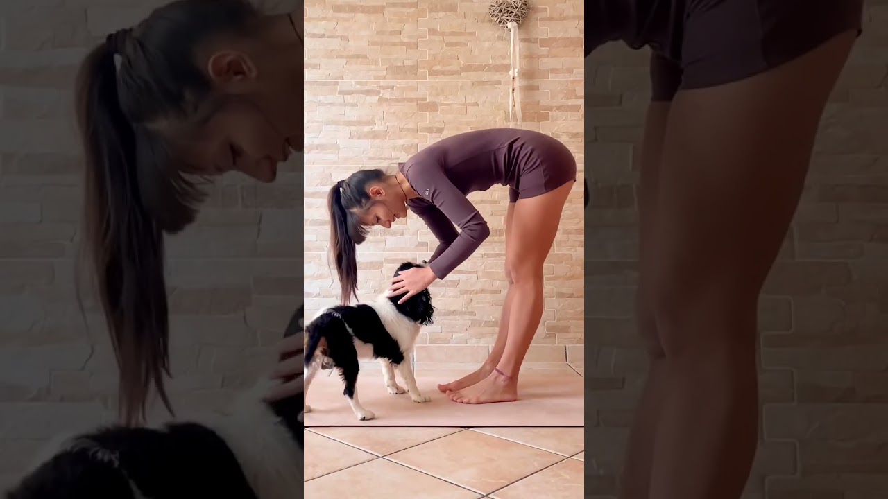 Contortion | Splits and Over splits | Yoga Flow | Advanced Stretching Performance 