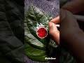 Kolka Art On Paan Pata #shorts #trending #kalkaart #chandanart