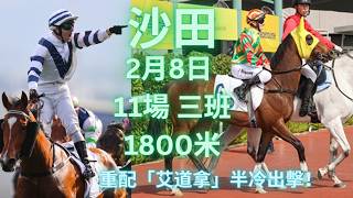 終於等到你跑1800米啦！冇馬走要鬥爆炸力「最強之選」！