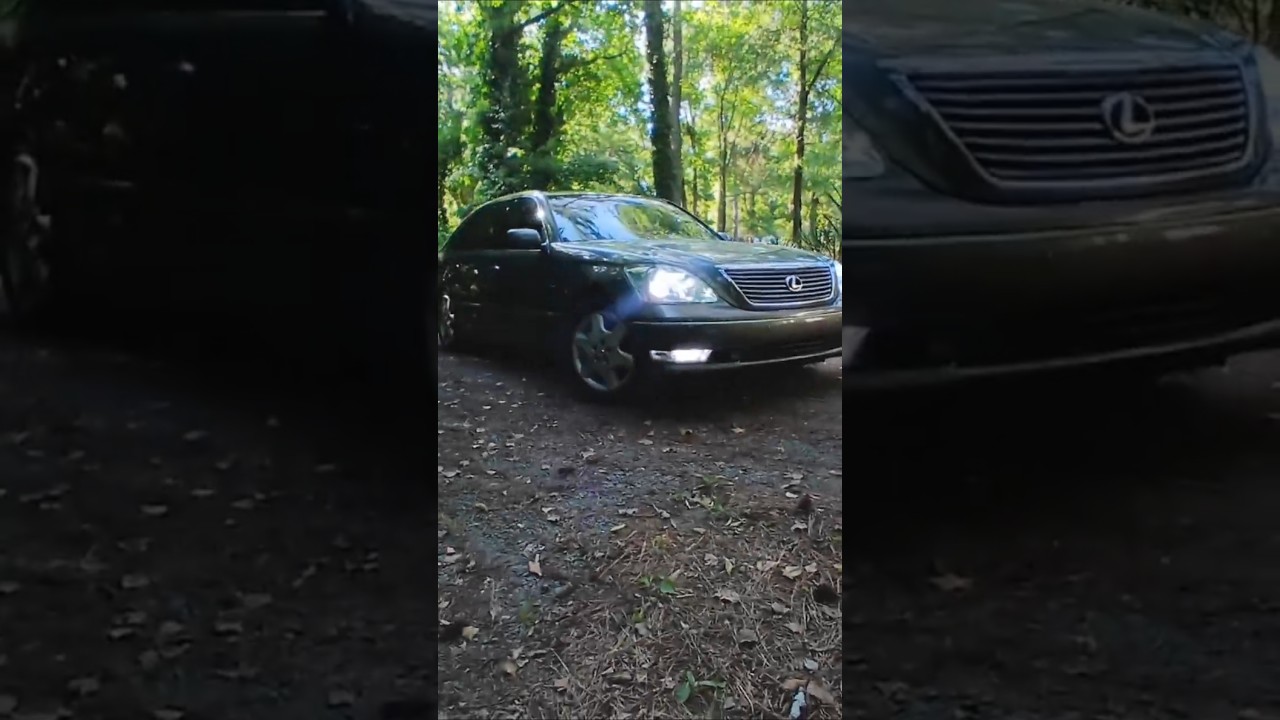 Got her all cleaned up, really needs a paint correction tho 