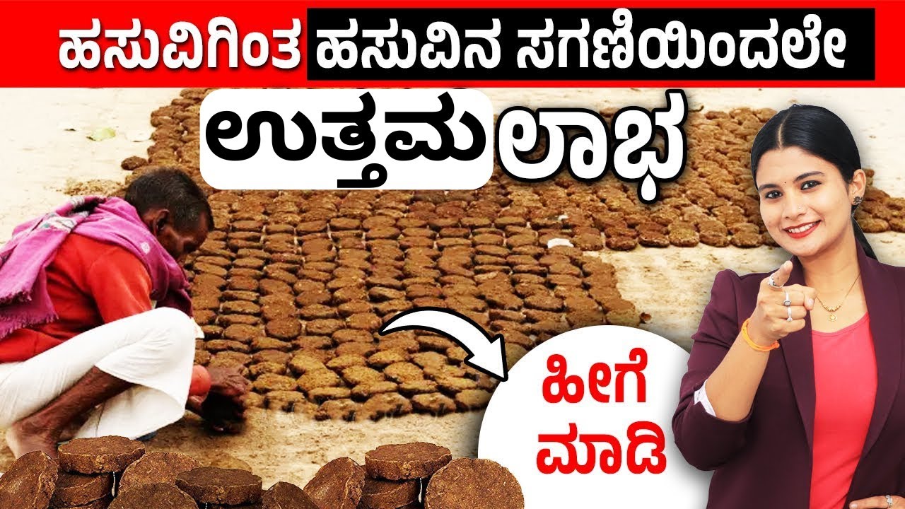 10 Benefits and Usage of Cow Dung | ಹಸುವಿನ ಸಗಣಿಯ ಉಪಯೋಗಗಳು | Cow Dung Byproducts Details In Kannada